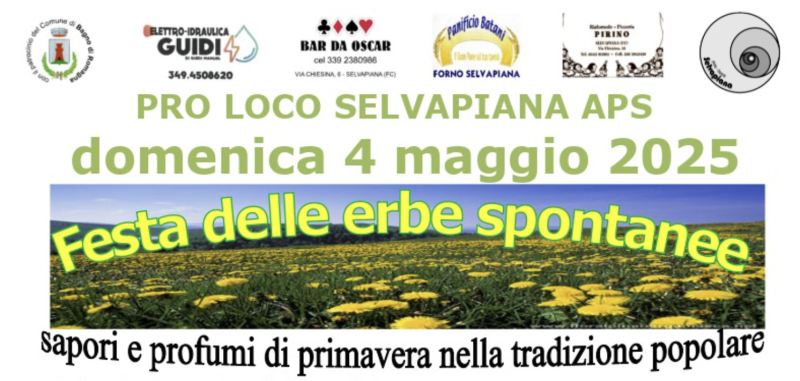 Festa delle Erbe Spontanee a Selvapiana
